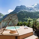 Boutique Glacier 4* Γκρίντελβαλντ