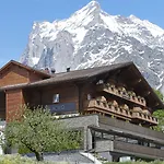 Boutique Glacier Ξενοδοχείο Γκρίντελβαλντ