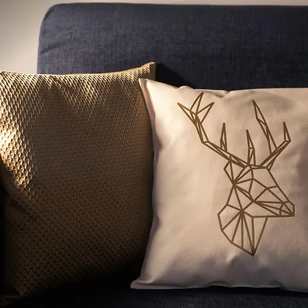 冰川精品酒店 酒店 格林德瓦