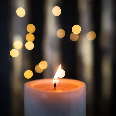 酒店 冰川精品酒店 格林德瓦