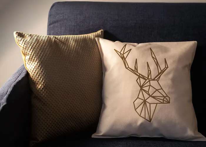 冰川精品酒店 酒店 格林德瓦