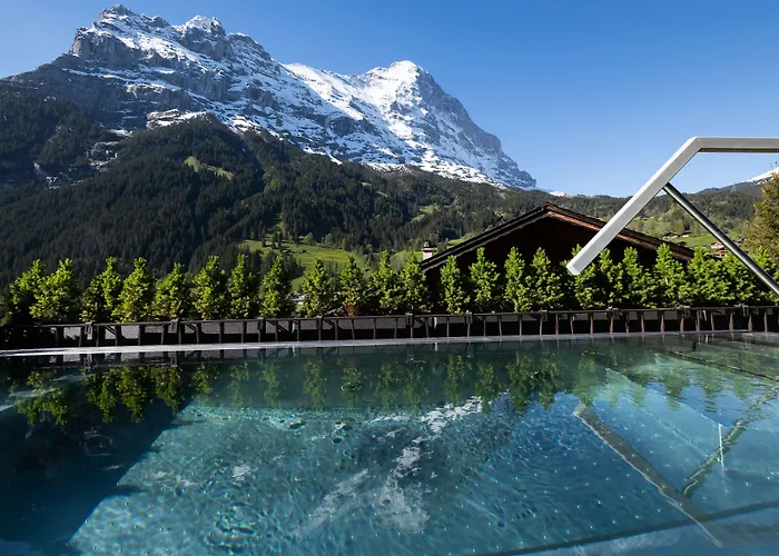 酒店 冰川精品酒店 4*